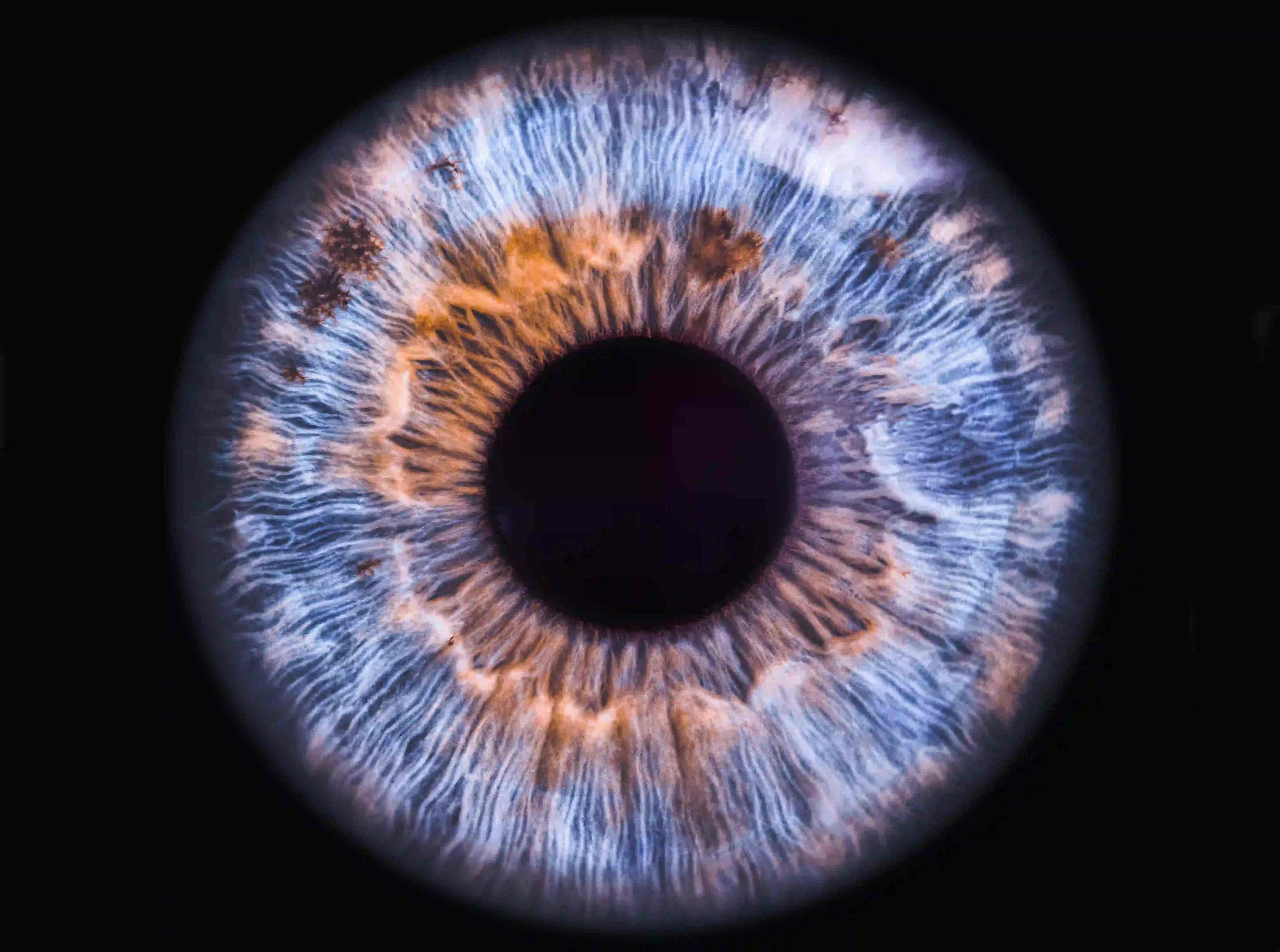 7 gode grunner til å velge Retine Optivision